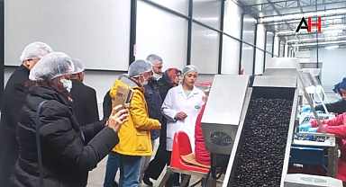 Akhisar, Muğlalı Zeytin Üreticilerini Misafir Etti