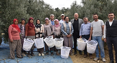 Büyükşehir, Zeytin Hasadında da Üreticilerin Yanında