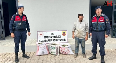 Jardarma'dan Akhisar'da Zeytin Hırsızlarına Karşı Başarılı Operasyon