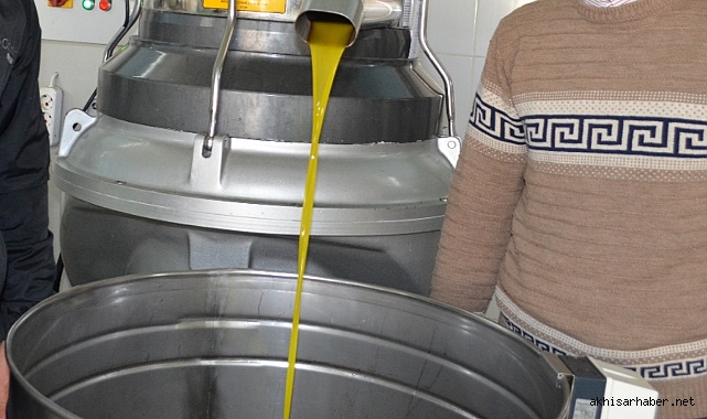 Köprübaşı'da Zeytinyağı Sıkım Sezonu Başladı