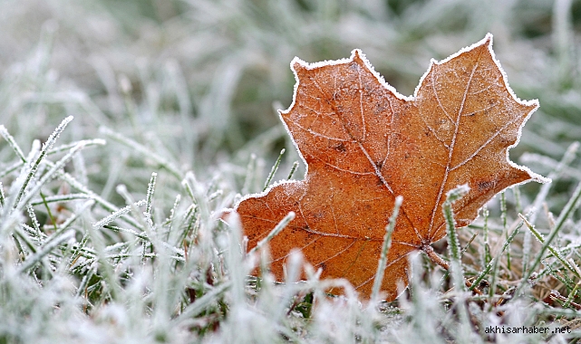 Zirai Don Tehlikesine Karşı Uyarı: Çiftçiler Dikkatli Olmalı