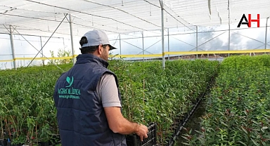 Akhisar'ın Markası Agrolidya, Tarım Sektöründe Yükselişini Sürdürüyor