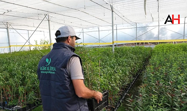 Akhisar'ın Markası Agrolidya, Tarım Sektöründe Yükselişini Sürdürüyor