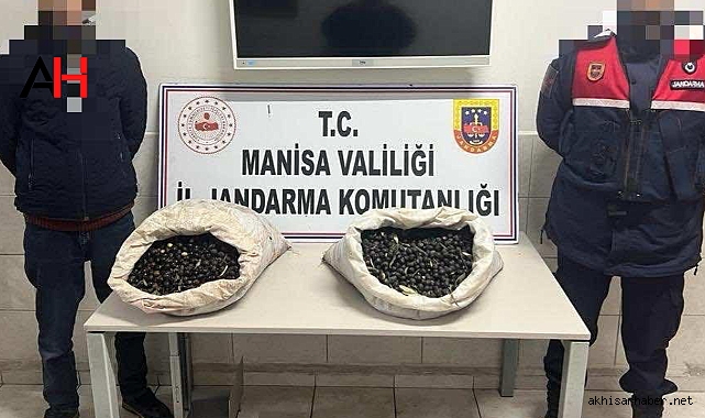 Akhisar Jandarma, Hırsızlık Olaylarına Karşı Etkin Müdahalede Bulunuyor