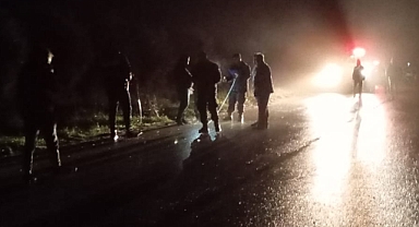 Yaban Domuzları Kazalara Neden Oluyor: Trafik ve Tarım Alanları Tehdit Altında