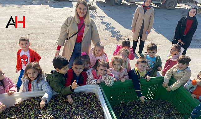 Zehra Muhittin Kavaklı Anaokulu Öğrencileri, Zeytinyağı Fabrikası'nı Ziyaret Etti