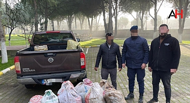 Zeytin Hırsızlığı Girişimi: 5 Şüpheli Yakalanarak Gözaltına Alındı