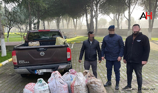 Zeytin Hırsızlığı Girişimi: 5 Şüpheli Yakalanarak Gözaltına Alındı