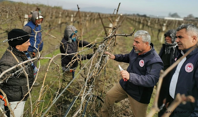 Akhisar'da Bağcılara Özel Budama Eğitimi