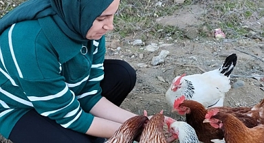 Gezen Tavuk Yumurtası Üreten Üretici Taleplere Yetişemiyor