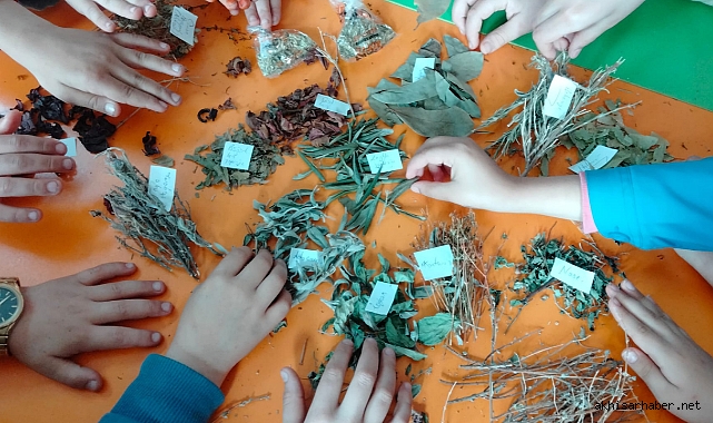 Öğrencilerin "Toprak Ana" Projesiyle Dünyaya Doğal Miras Mesajı