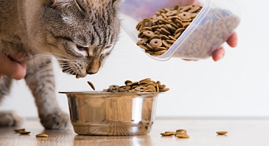 Royal Canin Sterilised Kilo Aldırır mı?