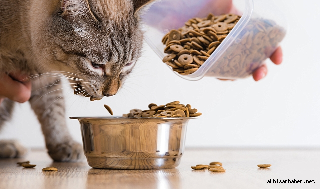 Royal Canin Sterilised Kilo Aldırır mı?