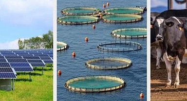 Tarım ve Orman Bakanlığı'nın Kırsal Kalkınma Yatırım Desteği için Başvurular Devam Ediyor