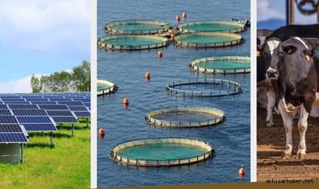 Tarım ve Orman Bakanlığı'nın Kırsal Kalkınma Yatırım Desteği için Başvurular Devam Ediyor