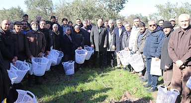 Üreticilerden Zeytin Budama Kursu’na Yoğun İlgi