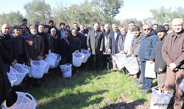 Üreticilerden Zeytin Budama Kursu’na Yoğun İlgi