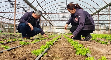 Akhisar'da Serada Tarımın Geleceği Şekilleniyor