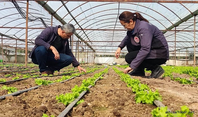 Akhisar'da Serada Tarımın Geleceği Şekilleniyor