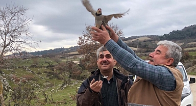 Akhisar'da Süne ve Çekirgeye Karşı Biyolojik Mücadelede Keklikler Sahada