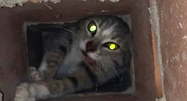 Akhisar'da Bacaya Sıkışan Kedi Kurtarıldı: İtfaiye Ekipleri Seferber Oldu