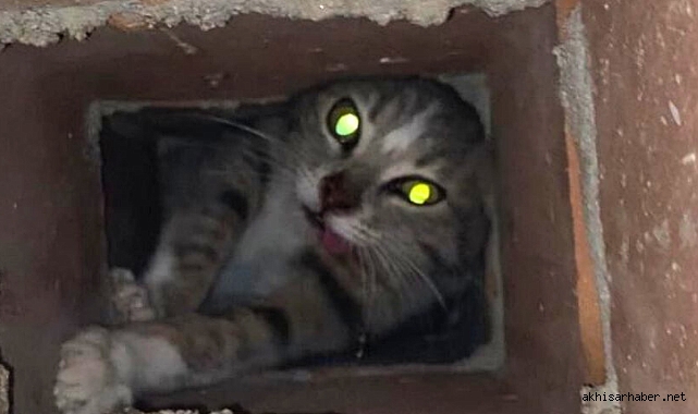Akhisar'da Bacaya Sıkışan Kedi Kurtarıldı: İtfaiye Ekipleri Seferber Oldu