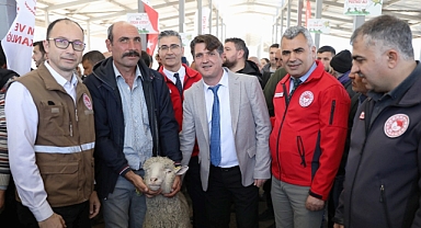 Akhisar'da Küçükbaş Hayvanlarda Sürü İyileştirme Projesi Başladı