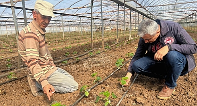 Akhisar İlçe Tarım ve Orman Müdürlüğü'nden Örtü Altı Üretim Tesislerine Ziyaret