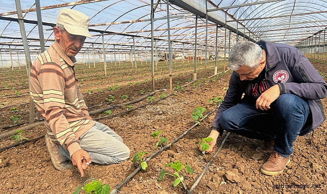 Akhisar İlçe Tarım ve Orman Müdürlüğü'nden Örtü Altı Üretim Tesislerine Ziyaret