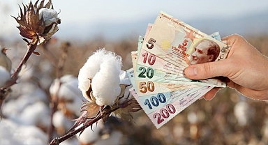 Akhisarlı Pamuk Üreticilerine 12.6 Milyon TL Mazot ve Gübre Desteği