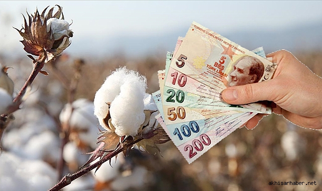 Akhisarlı Pamuk Üreticilerine 12.6 Milyon TL Mazot ve Gübre Desteği