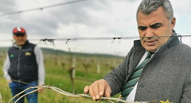 Bağlarda Oluşan Zirai Don Zararı Kontrolleri Devam Ediyor