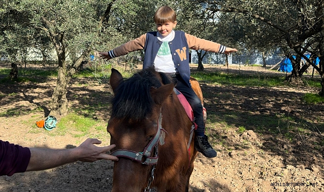 Dıgıdık ve Tıfıllar Zeytin Ormanında