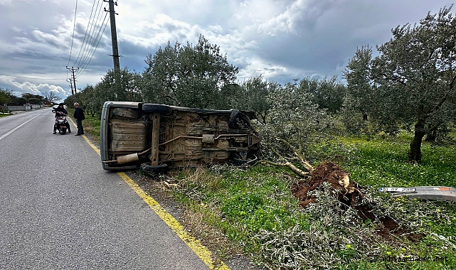 Efendi Mahallesi'nde Tek Taraflı Kaza: Sürücü Yara Almadan Kurtuldu