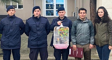 Kaçak Cennet Papağanlarına Geçit Yok: Şahsa Büyük Ceza