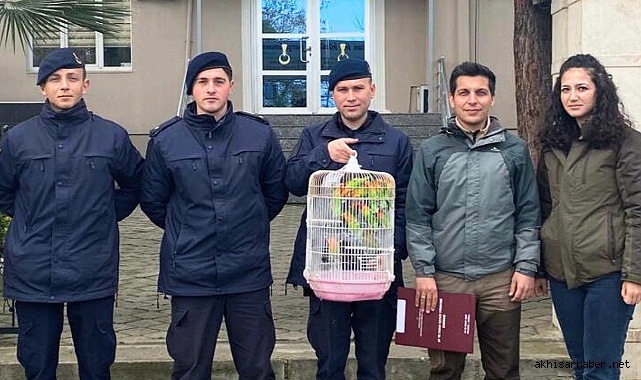 Kaçak Cennet Papağanlarına Geçit Yok: Şahsa Büyük Ceza