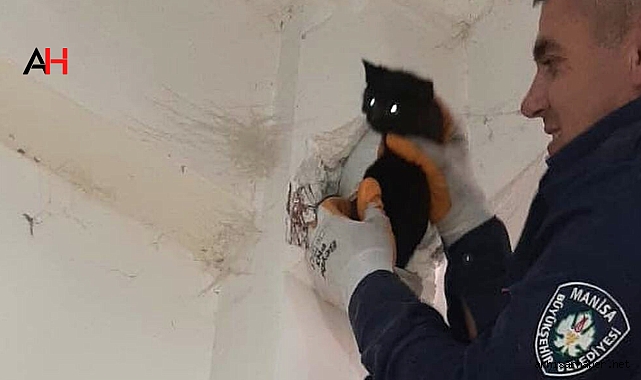 Akhisar'da İtfaiye Ekipleri, Pis Su Borusundaki Kediyi Kurtardı