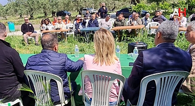 Akhisar'da Zeytin Bahçelerinde Organik Madde Artışına Yönelik Çalışmalar Devam Ediyor