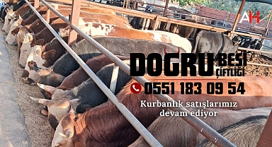 Doğru Besi Çiftliği'nden Kurban Bayramı İçin Özel Seçenekler