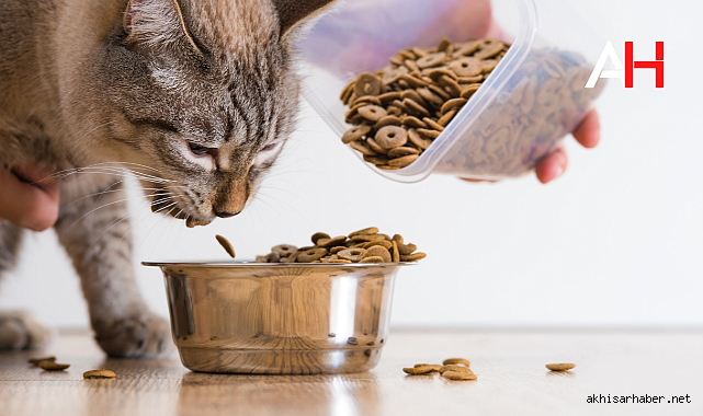 Yetişkin Kedi Maması