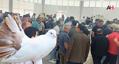 12. Akhisar Güvercin Güzellik Yarışması Renkli Anlara Sahne Oldu