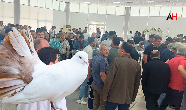 12. Akhisar Güvercin Güzellik Yarışması Renkli Anlara Sahne Oldu