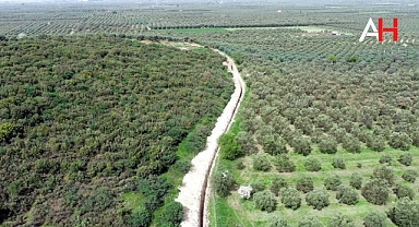 Akhisar'da Çamönü Barajı Tam Gaz: Sulama Şebekesi İnşaatı Hızlandı!