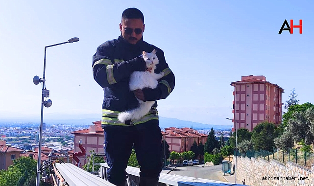 Akhisar'da Ağaçta Mahsur Kalan Kedi Kurtarıldı