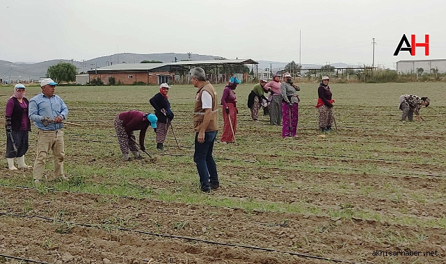 Akhisar'da Sebze Üretiminde Kritik Bilgilendirme
