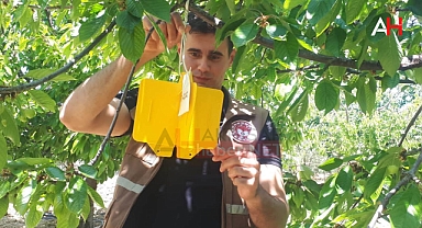 Arabacıbozköy ve Büknüş'te Tarımsal Kontroller Devam Ediyor