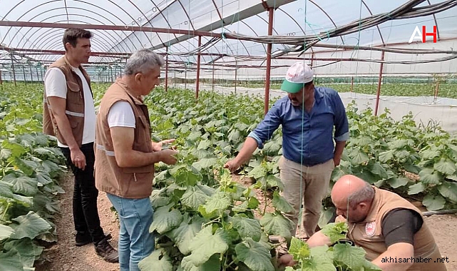 Çamönü'de Üretici Sorunlarını Yerinde İncelendi