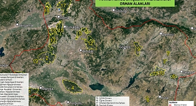 Manisa Valiliği açıkladı! Bu ormanlara giriş yasak