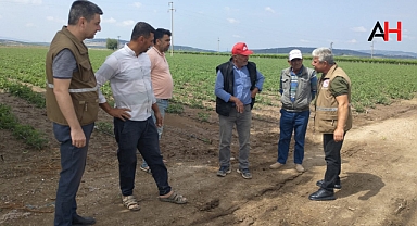 Zarar Gören Tarım Ürünleri İçin Tespit Çalışmaları Yapılıyor