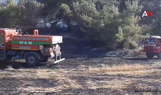 İlyaslar'da Yangın: Arı Kovanları Telef Oldu